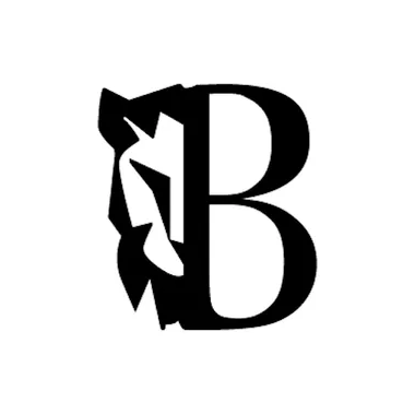 Balmaghie logo